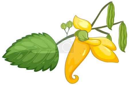 Ilustración de Impatiens amarillo brillante flor con hojas verdes - Imagen libre de derechos