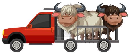 Deux yaks transportés dans un petit camion
