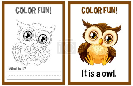 Coloring book page and colored illustration of an owl