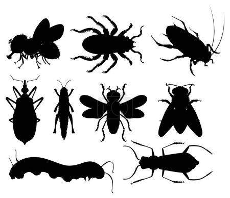 Colección de diferentes siluetas de insectos en negro
