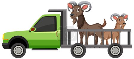 Two rams transported in a green pickup truck