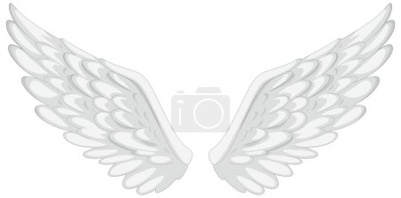 Téléchargez les illustrations : Paire d'ailes d'ange blanches symétriques et détaillées - en licence libre de droit
