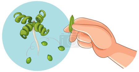 Illustration for Hand holding and dispersing Impatiens seeds - Royalty Free Image