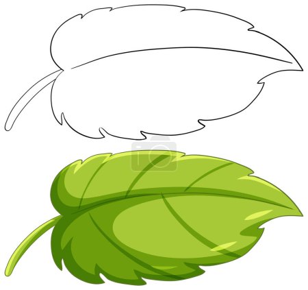 Vector illustration of a leaf and speech bubble