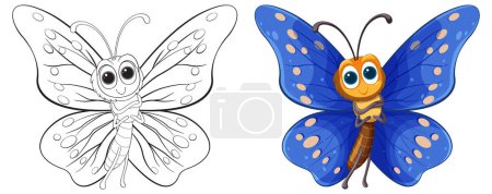 Deux étapes de papillon, croquis et coloré