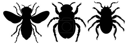 Three black insect silhouettes on a white background