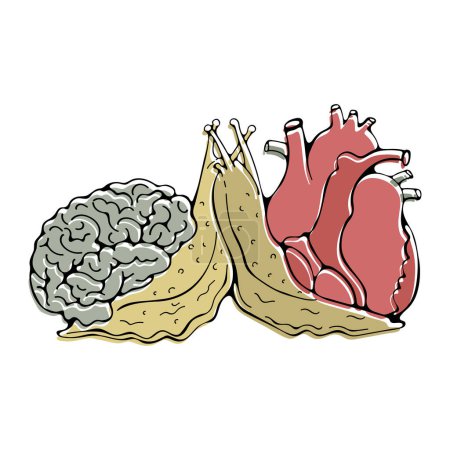 Illustration for Two snails kissing. One snail is brain and the other is heart - Royalty Free Image