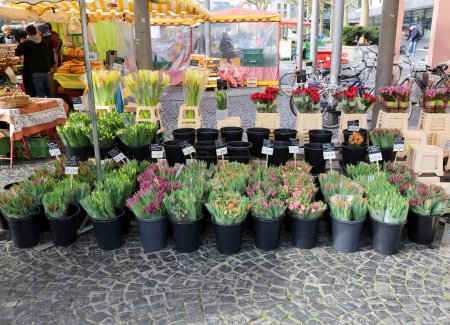 Foto de MAINZ, ALEMANIA-MARZO 28,2015: No identificados Vender y comprar Flores Coloridas en Mainz Farmers Market - Imagen libre de derechos