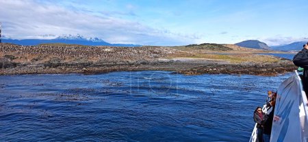 Photo for In the land of patagonia the nature and the wild - Royalty Free Image