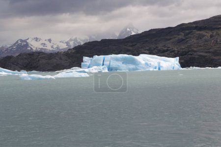 Photo for In the land of patagonia the nature and the wild - Royalty Free Image