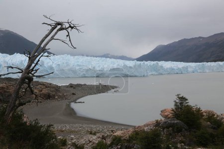 Téléchargez les photos : In the land of patagonia the nature and the wild - en image libre de droit