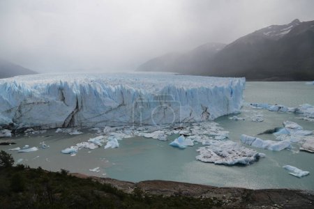 Foto de In the land of patagonia the nature and the wild - Imagen libre de derechos