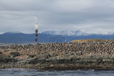 Foto de In the land of patagonia the nature and the wild - Imagen libre de derechos