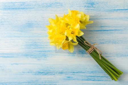 Bouquet of daffodils, spring flowers on a blue background. top view.