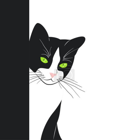 Schöne schwarz-weiße Katze mit grünen Augen guckt hinter der Wand hervor