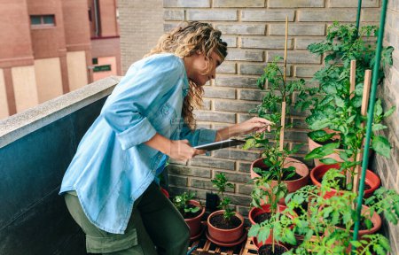 Young woman checking plants of urban garden on terrace of residential apartment while holding digital tablet in her hand