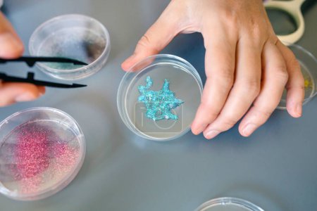 Foto de Primer plano de la mano de una científica que sostiene una muestra de purpurina azul sobre una placa de Petri en un laboratorio de investigación ambiental. Técnico químico mujer analizando los peligros de la composición de microplásticos. - Imagen libre de derechos