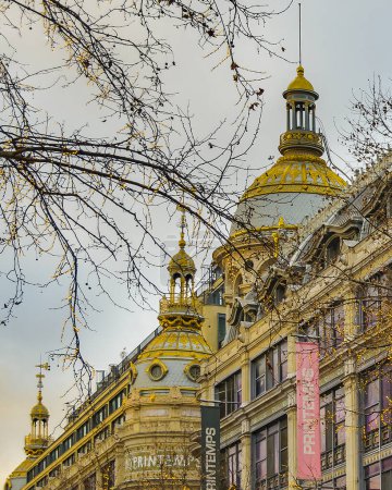 Téléchargez les photos : PARIS, FRANCE, JANUARY - 2020 - Long shot store buildings and trees with christmas decoration at historic center of paris, france - en image libre de droit