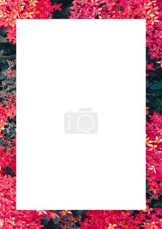 Photo for White frame with botanic motif colorful borders layout - Royalty Free Image