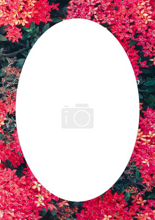 Photo for White frame with botanic motif rounded colorful borders layout - Royalty Free Image