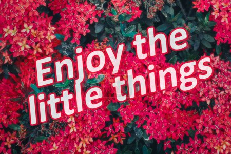 Photo for Enjoy little things text over closeup shot colorful botanic motif red flowers and green dark plants background - Royalty Free Image