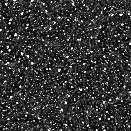 Blanco y negro abstracto formas orgánicas textura patrón fondo