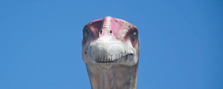 Zoom shot closeup head of real scale titanosaur scuplture, located at trelew city, chubut province, argentina