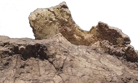 Trelew, Argentina; December 30 2022: Humerus of patagotitan mayorum, the big dinosuar until now discover, edigio ferugllio paleontology museum, trelew, argentina