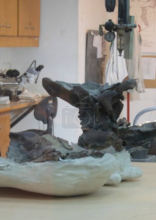 Téléchargez les photos : Trelew, Argentina; December 30 2022: Dinosuar bones at table in anthropologist room, paleontology museum, trelew, argentina - en image libre de droit