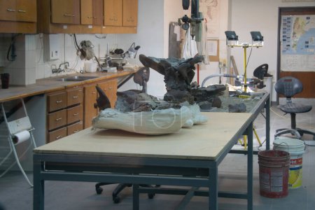 Téléchargez les photos : Trelew, Argentina; December 30 2022: Dinosuar bones at table in anthropologist room, paleontology museum, trelew, argentina - en image libre de droit