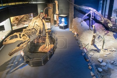 Téléchargez les photos : Trelew, Argentine ; 30 décembre 2022 : Plan en angle élevé de la pièce principale du musée de paléontologie egidio feruglio, trelew, argentine - en image libre de droit