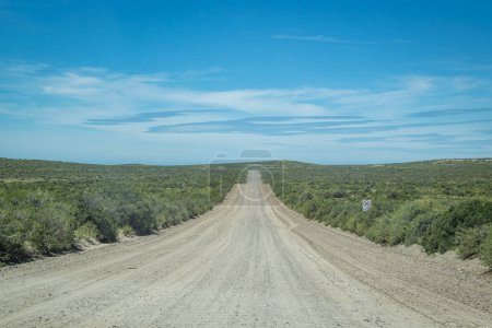 Gravel road crossing semi arid patagonian steepe landscape environment which goes to punta tombo peninsula, trelew, chubut province, argentina
