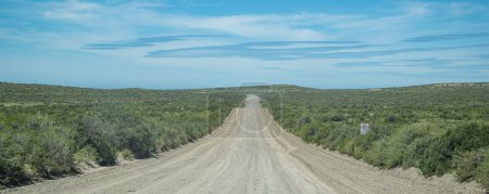 Gravel road crossing semi arid patagonian steepe landscape environment which goes to punta tombo peninsula, trelew, chubut province, argentina