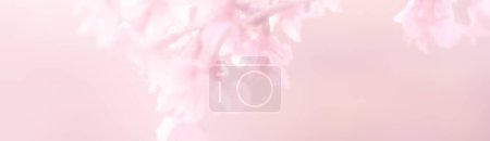 Foto de Flor rosa abstracta sobre fondo blanco con enfoque suave - Imagen libre de derechos
