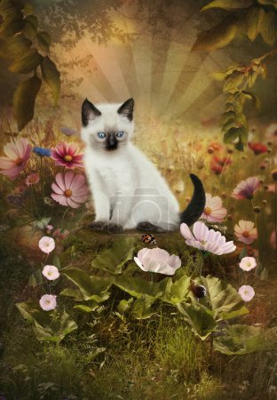 Téléchargez les photos : Un chaton siamois assis sur une souche dans la forêt, entouré de belles fleurs, regarde une coccinelle - en image libre de droit