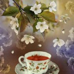 Cup of tea on a background of a branch of cherry flowers