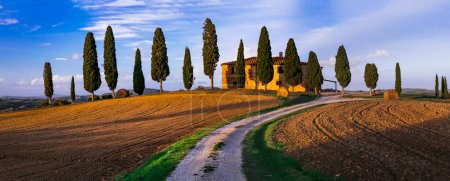 Photo for Romantic scenic Tuscany countryside. Iconic view of cypresses of famous valley Val d'Orcia. Italy, Toscana landscape - Royalty Free Image