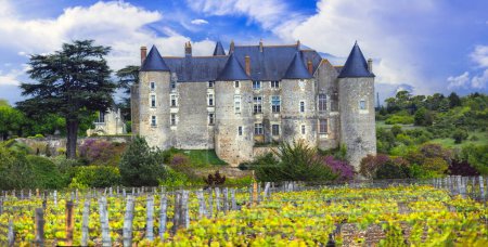 Foto de Castillos franceses medievales del valle del Loira. Castillo de Luynes rodeado de pintorescos viñedos - patrimonio de Francia - Imagen libre de derechos