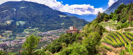 Foto de Pintoresco paisaje italiano. La ciudad de Merano y sus castillos. rodeado de montañas y viñedos de los Alpes. Provincia de Bolzano, Italia - Imagen libre de derechos