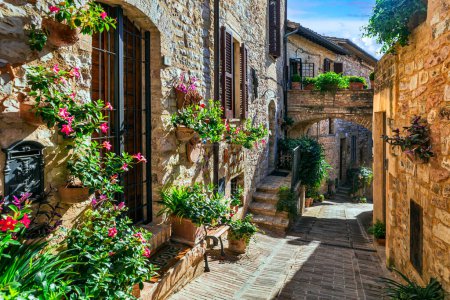 Foto de Pueblos antiguos tradicionales de Italia, Umbría - hermosa ciudad de Spello. Encantadora decoración de calles florales - Imagen libre de derechos