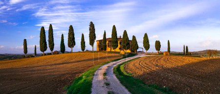 Téléchargez les photos : Italie, paysages romantiques de Toscane avec des cyprès traditionnels et des collines. célèbre région Val d'orci - en image libre de droit