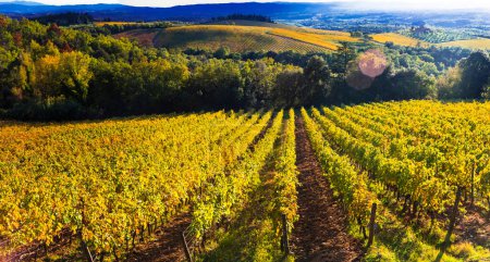 Téléchargez les photos : Italie décor. Campagne traditionnelle et vignobles de belle Toscane aux couleurs dorées automnales - en image libre de droit