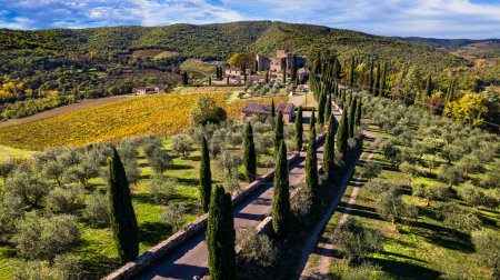 Téléchargez les photos : Italie, Toscane paysage vue aérienne de drone. Château médiéval pittoresque avec des cyprès traditionnels Castello di Meleto dans la région du Chianti - en image libre de droit