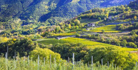 Téléchargez les photos : Beau paysage de la Vallée d'Aoste, nord de l'Italie. Alpes montagnes, vallée pittoresque de châteaux et de vignobles - en image libre de droit