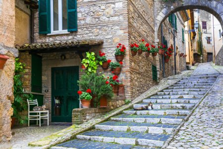 Photo for Traditional medieval villages of Italy - picturesque old floral streets of Casperia, Rieti provinc - Royalty Free Image