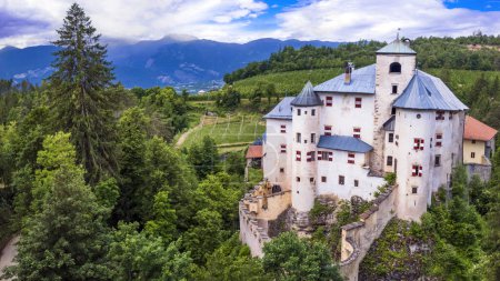 Téléchargez les photos : Châteaux médiévaux pittoresques de conte de fées de l'Italie - beau Castel Bragher dans le Trentin Haut Adige. entouré de vignes et de forêt. vue aérienne sur drone - en image libre de droit