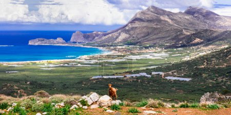 Grecia viaja. paisaje escénico de la isla de Creta. montañas rocosas, playas salvajes y cabras de pastoreo