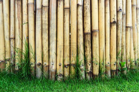 Téléchargez les photos : Vieux mur simple en bambou ton brun ou fond de texture de clôture en bambou pour le design extérieur ton vintage. Bambou brun motif bâton toile de fond. Zone locale protection de la maison urbaine contre le voleur. - en image libre de droit
