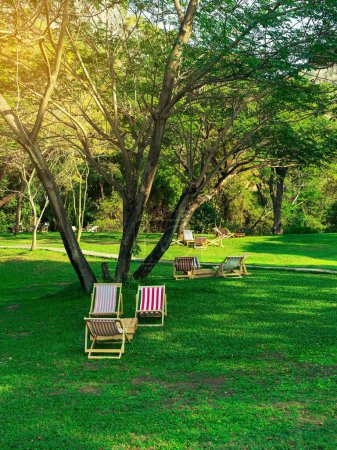 De nombreuses chaises longues et des oreillers avec table en bois dans la cour est entouré d'herbe verte ombragée. Oreillers confortables sur chaise de patio extérieur et table dans le jardin. Vacances d'été. Relaxant extérieur.