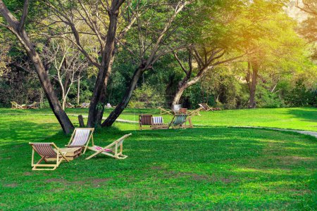 Many deck chairs and pillows with wooden table in the courtyard is surrounded by shady green grass. Comfortable pillows on outdoor patio chair and table in garden. Summer vacation. Outdoor Relaxing.